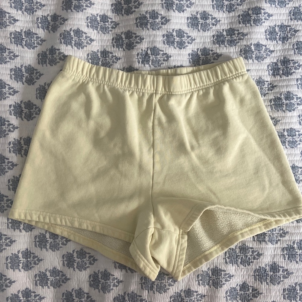 Aritzia Sweatshorts